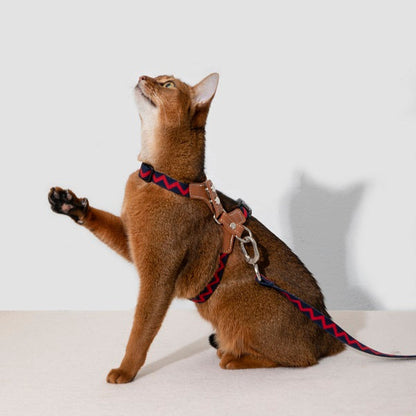 Rainbow Series - Leather Cat Harness & Leash