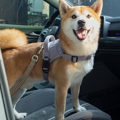 Valley Series - Pet Seat Belt