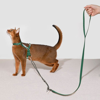 Bobo Series · Free Exploration Cat Chest Harness & Leash