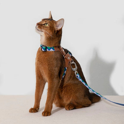 Rainbow Series - Leather Cat Harness & Leash