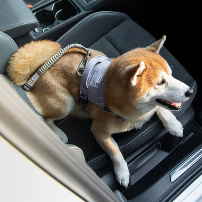 Valley Series - Pet Seat Belt