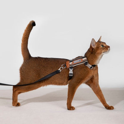 Bobo Series -  Striped Cat Harness & Leash