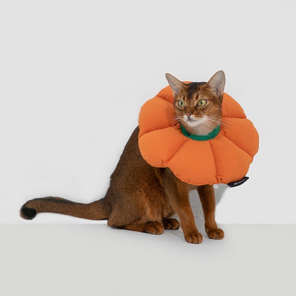 Flower Elizabethan Pet Recovery Collar