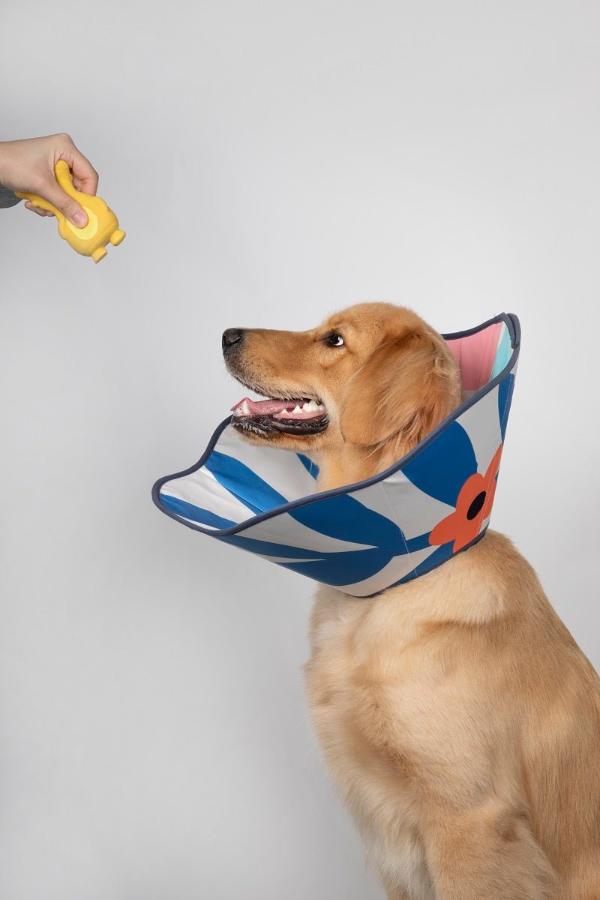 Taper Adjustable Elizabethan Pet Recovery Collar