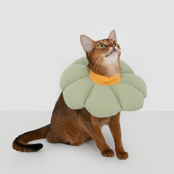 Flower Elizabethan Pet Recovery Collar