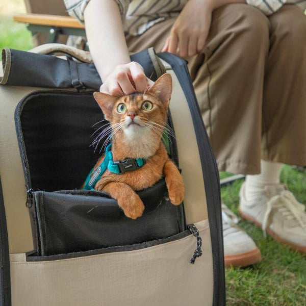 First Class Pet Backpack