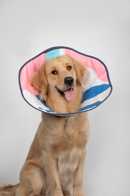 Taper Adjustable Elizabethan Pet Recovery Collar