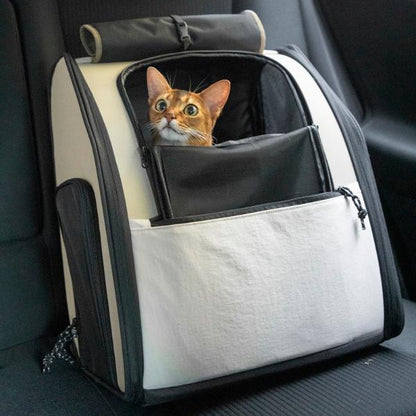 First Class Pet Backpack