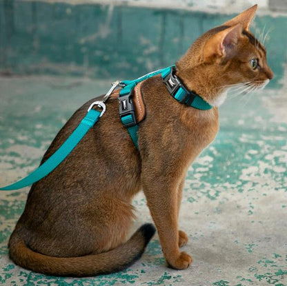 BoBo Series - Cat Leather Harness & Leash