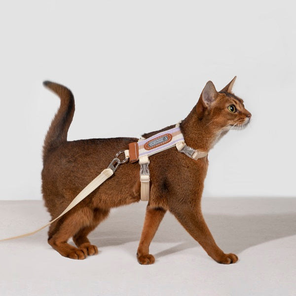 Bobo Series -  Striped Cat Harness & Leash