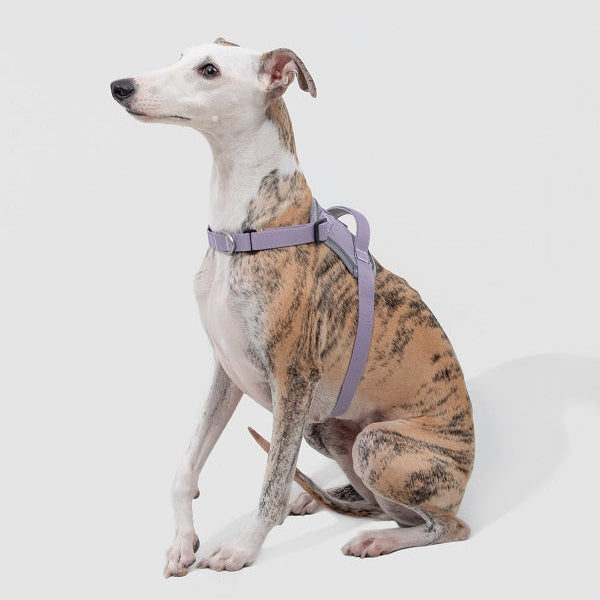 Valley Series - Quick-wear anti-explosion Harness