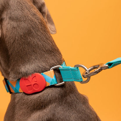 Colorful Series - Reflective Dog Collar