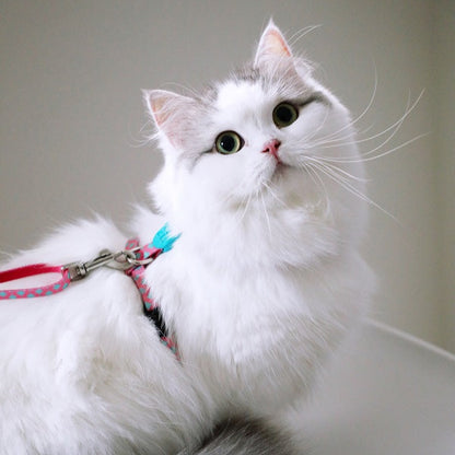 Colorful Series - I Shape Cat Harness & Leash