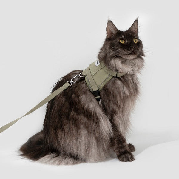 Valley Series - Small Vest Cat Harness & Leash