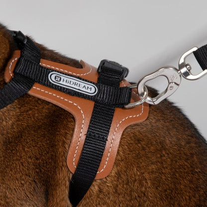 BoBo Series - Cat Leather Harness & Leash