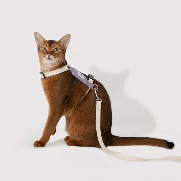 Valley Series - Cat Harness & Leash