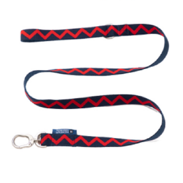 Rainbow Series - Dog Leash