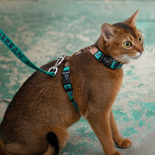 Bobo Series -  Reflective Leather Cat Harness & Leash