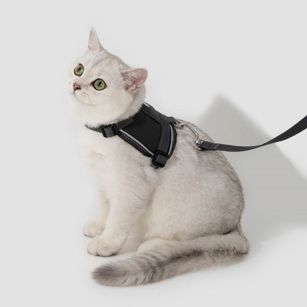 Valley Series - Small Vest Cat Harness & Leash