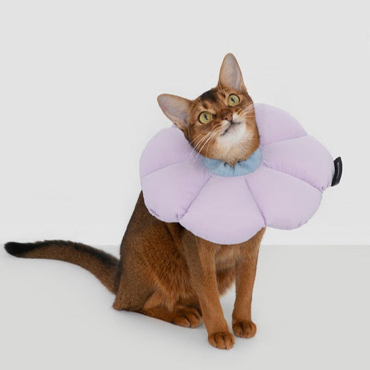 Flower Elizabethan Pet Recovery Collar