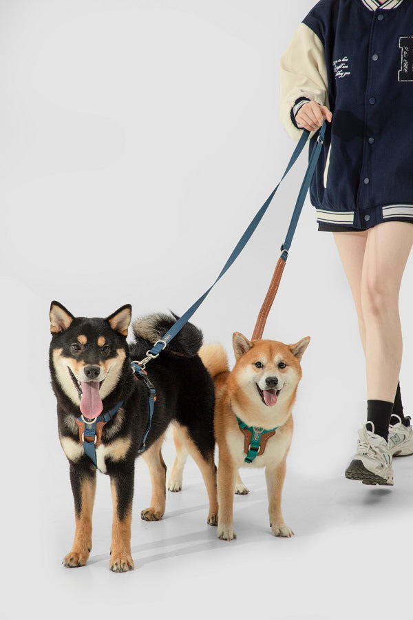 BoBo Series - Multi-functional Crossbody Dog Leash