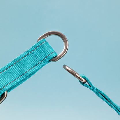 Colorful Series - Reflective Dog Collar