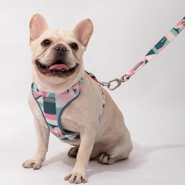 Square Series - I Shape Dog Harness