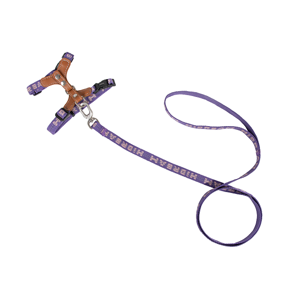 Bobo Series -  Reflective Leather Cat Harness & Leash