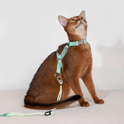 Bobo Series · Free Exploration Cat Chest Harness & Leash