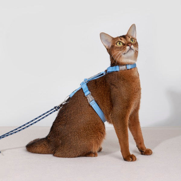 Bobo Series · Free Exploration Cat Chest Harness & Leash