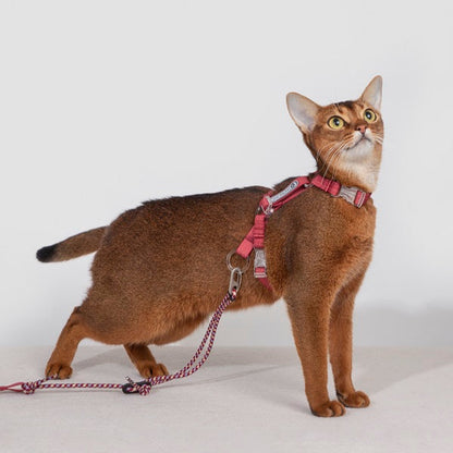 Bobo Series · Free Exploration Cat Chest Harness & Leash