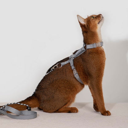 Bobo Series · Free Exploration Cat Chest Harness & Leash