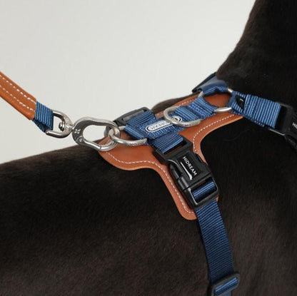 BoBo Series - I Shape Dog Leather Harness