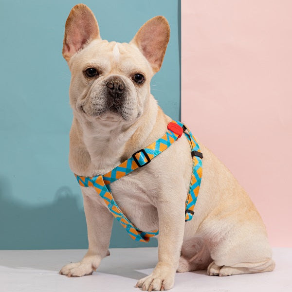 Colorful Series - Y Shape Dog Harness