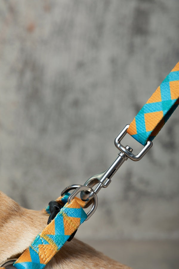 Colorful Series - Adjustable Dog Leash