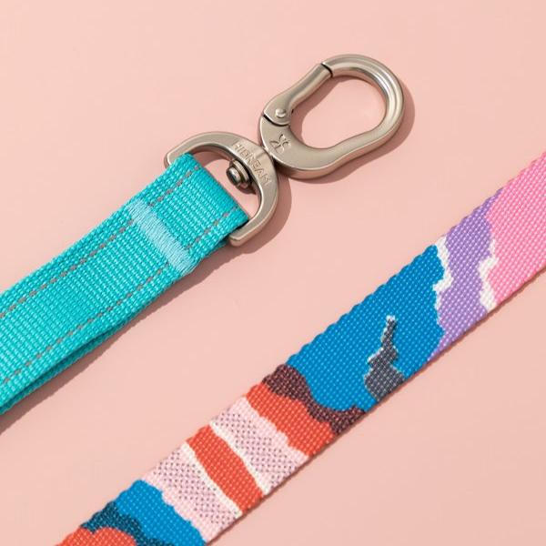 Colorful Series - Buffer Traction & Soft Handle Dog Leash