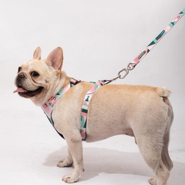 Square Series - Soft Handle Dog Leash