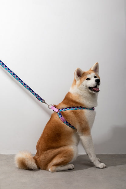 Rainbow Series - Dog Leash