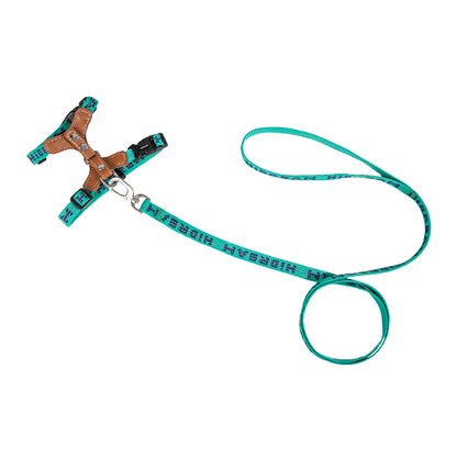 Bobo Series -  Reflective Leather Cat Harness & Leash