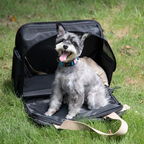 Pet Outing Shoulder Tote Bag