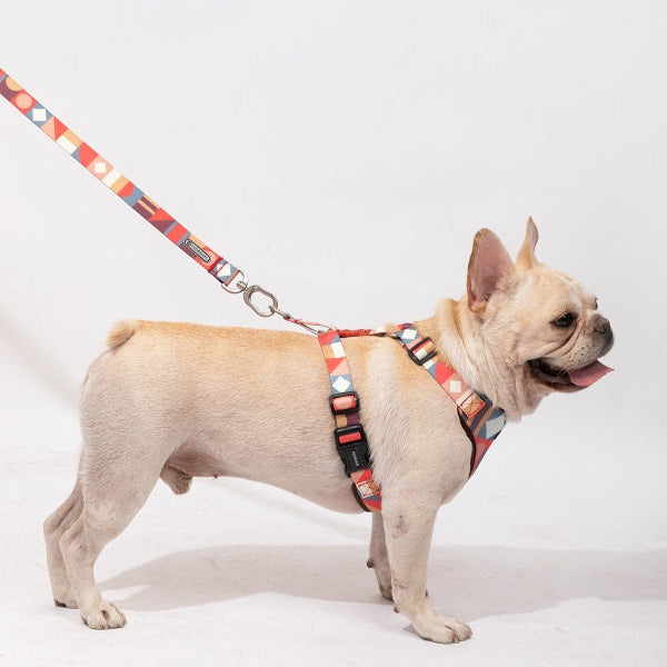 Square Series - Soft Handle Dog Leash