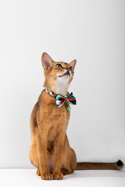 Colorful Series - Cat Collar