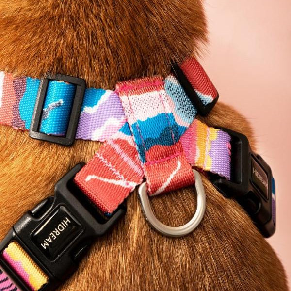 Colorful Series - X Shape Dog Harness