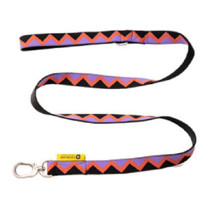 Rainbow Series - Dog Leash