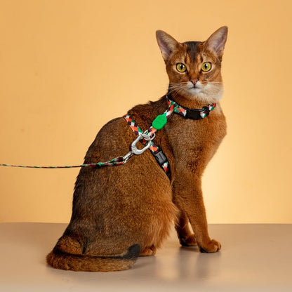 Colorful Series - I Shape Cat Harness & Leash