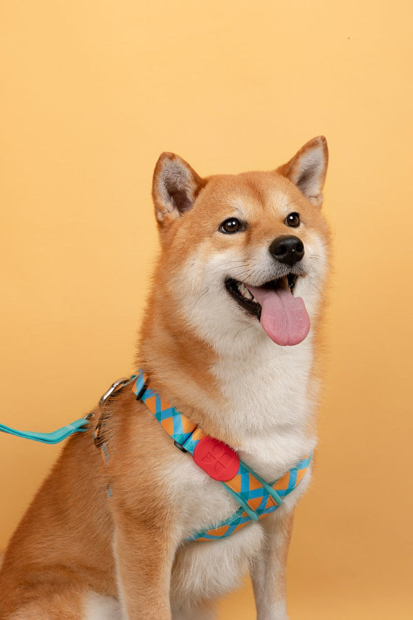 Colorful Series - X Shape Dog Harness