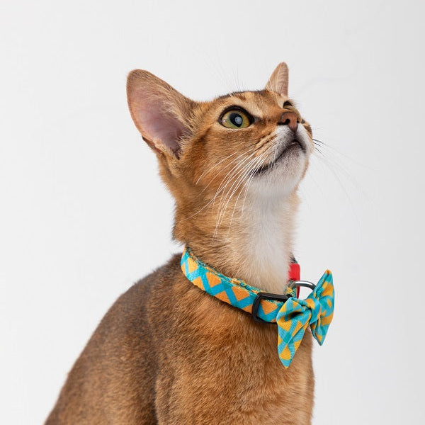 Colorful Series - Cat Collar