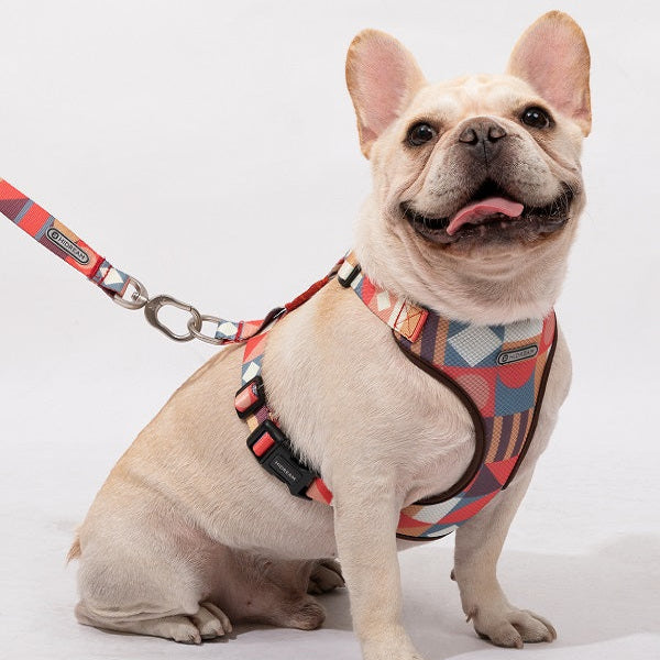 Square Series - I Shape Dog Harness