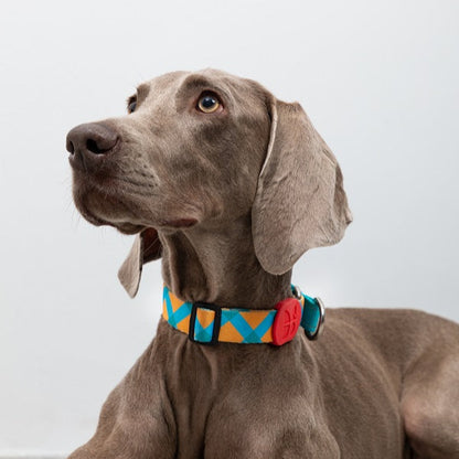 Colorful Series - Reflective Dog Collar