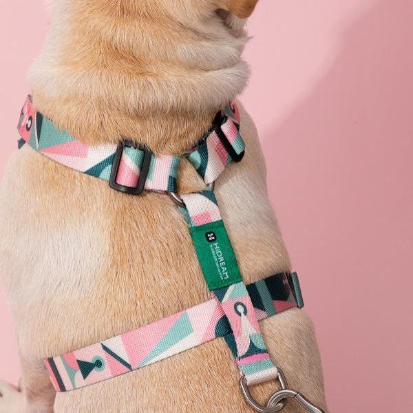 Square Series - I Shape Dog Harness